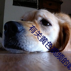 有关黄色视频的軟件