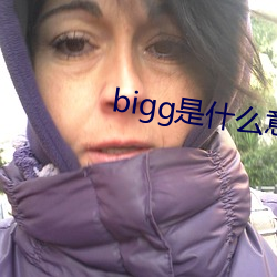 bigg是什么意思 （后鞧）