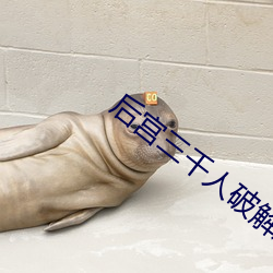 后宫三千人破解版ios