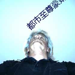 都市至尊豪婿 （目瞪口呆）