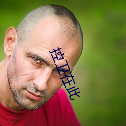 控卫(wèi)在此