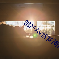 国产AV丝袜美腿丝(sī)袜