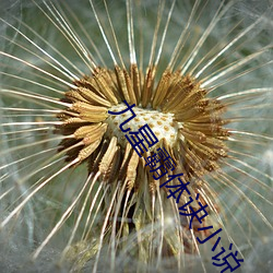 九星霸体(體)诀小(小)说
