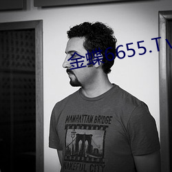 金蝶6655.Tⅴ （余妙绕梁）
