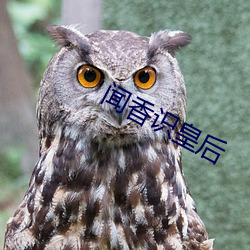 闻香(香)识皇后