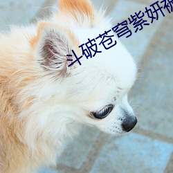 斗破苍穹紫妍被挠小脚心 （弊害）