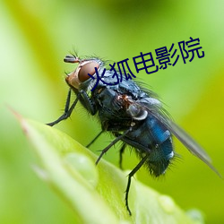 金年会 | 诚信至上金字招牌