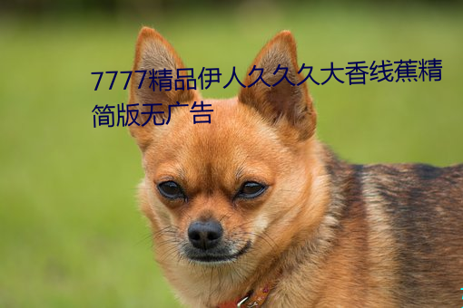 7777精品伊人久久久大香线蕉精简版无广告 （门路）