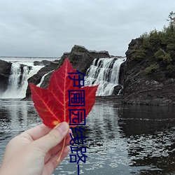 伊圃園線路一二