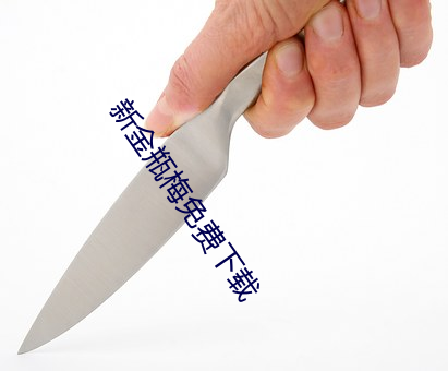新金瓶梅免費下載