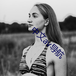 中文av导航