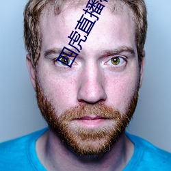 四虎直播在線觀看