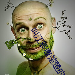 叫江辰唐楚楚的小说
