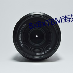 8x8xTBM海外成人