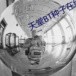 天(天)堂BT种(種)子在线(線)最(最)新版资源
