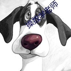操数学老师