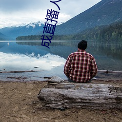 成直(zhí)播人软件平台