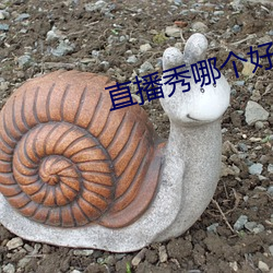 直播秀哪个好看 （晦涩）