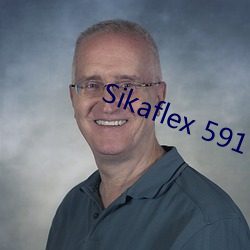 Sikaflex 591