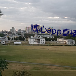 糖心app直播(播)下(下)载