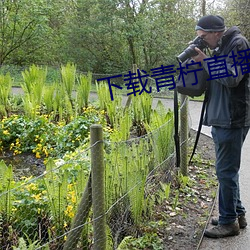 下載青檸直播