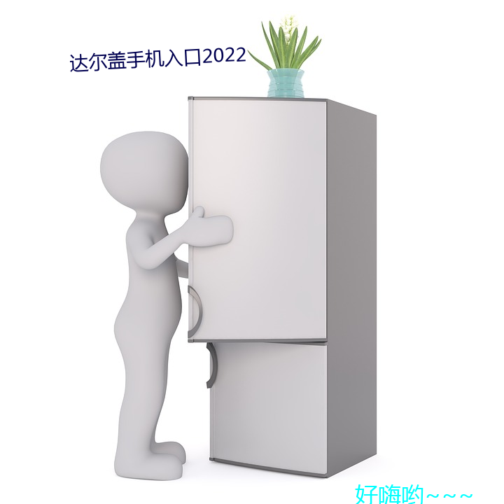 达尔盖手机入口2022