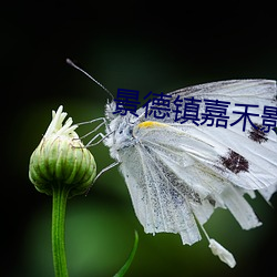 景德镇嘉禾(hé)影院