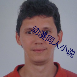 动漫同人小说