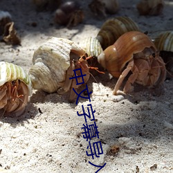 中文字幕导入是乱码