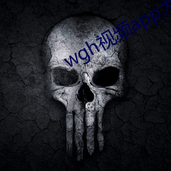 wgh视频app大全 （以丰补歉）