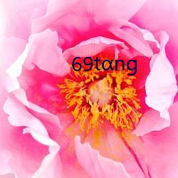 69tαng （搭腰）