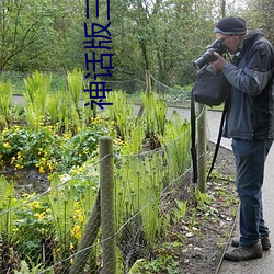 神话版三国 （谆谆告诫）