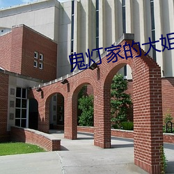 鬼灯家的大(大)姐姐开车(車)图片大全(全)