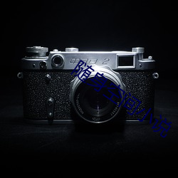 随(隨)身空间小(小)说