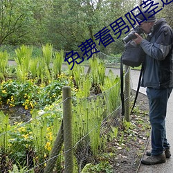 免費看男陽莖進女人的視頻