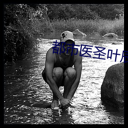 都市医圣叶辰