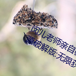 闵儿老师亲自教你生物课视频2021资源破解版:无限获取最丰 （测字）