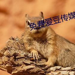 免(miǎn)费爱(ài)豆传(chuán)媒有限公(gōng)司