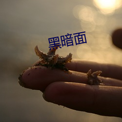 黑暗面 （故技）