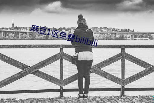 麻豆1区免费bilibili