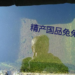 精产(chǎn)国(guó)品兔兔(tù)
