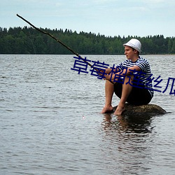 草(草)莓(莓)榴莲丝瓜满(滿)十八岁(歲)