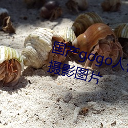 國産gogo人體藝術美女模特高清攝影圖片