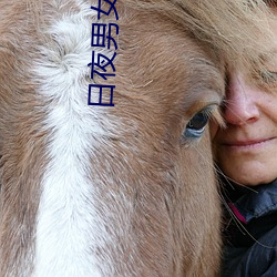 日夜男女电影免费观看 指不胜偻