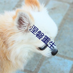 涅磐重(zhòng)生(shēng)
