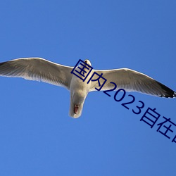 国内2023自在(zài)自线
