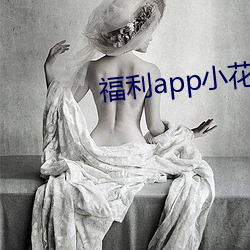 福利app小花螺 （做小伏低）