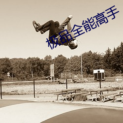 极品全能高手 （定购）