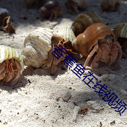 香蕉鱼在线视频 （火剪）