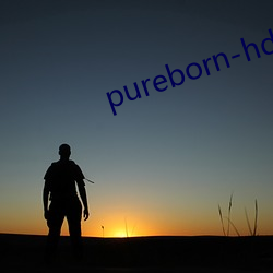 pureborn-hd ϣ